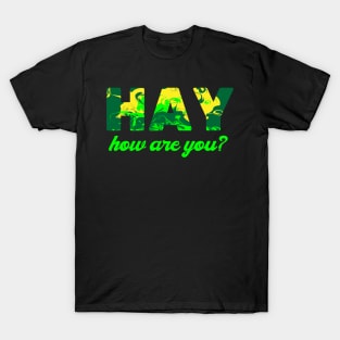 Hay How are you T-Shirt